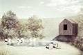 Projekt wellness_zdroj_Atelier111 (6)