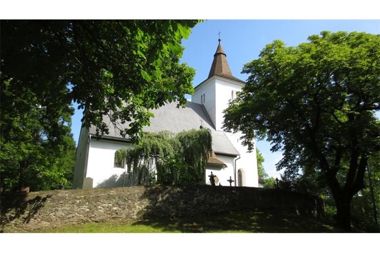 mouřenec mouřenec