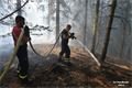 Požár u Dobříva_foto Pavel Němeček QAP (6)