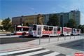 Do ulice Terezie Brzkové se vrátily tramvaje_QAP_foto (12)