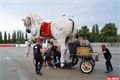 Obří loutky Carros de Foc _QAP_foto (17)