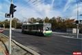 Do Borské se vrátily trolejbusy_QAP_foto (13)