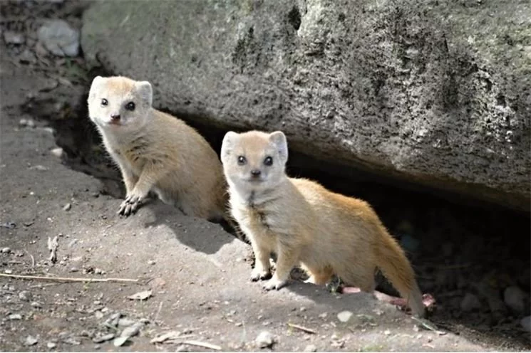 FOTO_ZOO Plzeň (2)