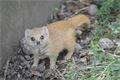 FOTO_ZOO Plzeň (5)