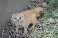 FOTO_ZOO Plzeň (5)
