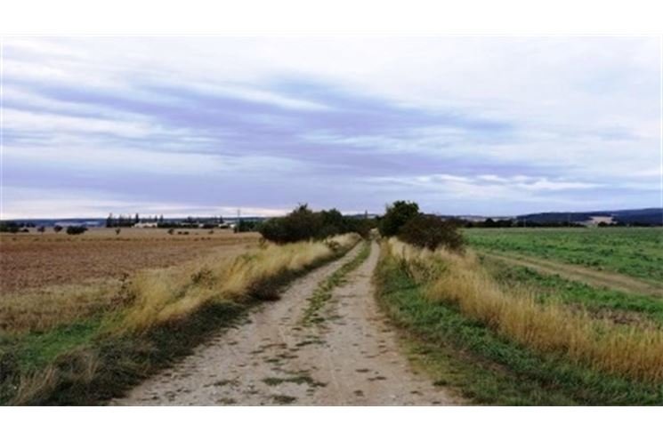 FOTO_ Městský úřad Plzeň 5