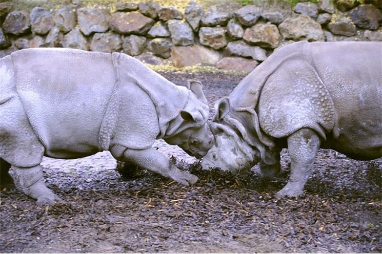 FOTO_ZOO_PLZEŇ (1)