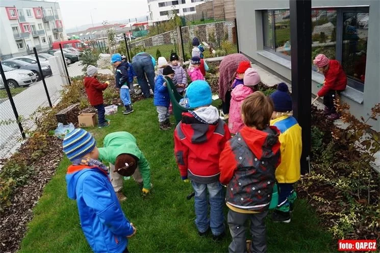 FOTO_QAP_CZ (18)