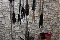 FOTO_PČR (6)