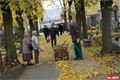 FOTO_QAP_CZ (8)