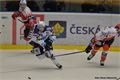 Foto Pavel Němeček (9)