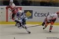 Foto Pavel Němeček (9)