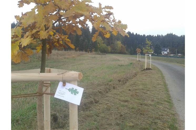 Foto ČEZ Foto ČEZ