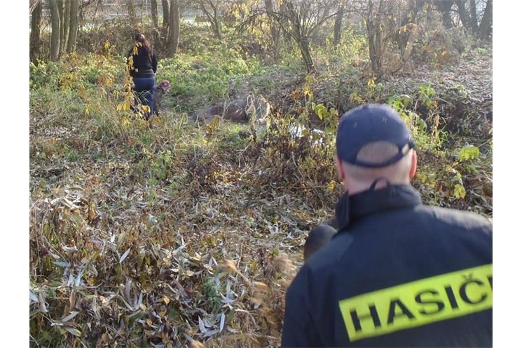 Foto HZS Plzeňského kraje (1)