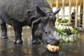 FOTO_ZOO Plzeň (2)