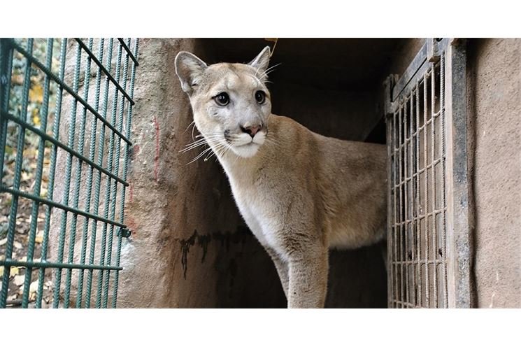 FOTO_ZOO Plzeň (2)