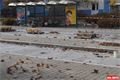 FOTO_QAP_CZ (4)
