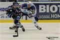 Foto Pavel Němeček (8)