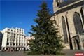 FOTO_QAP_CZ (2)