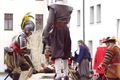 Mansfeld_2014 (10)
