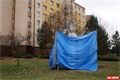 FOTO_QAP_CZ (1)