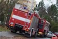 FOTO_QAP_CZ (55)