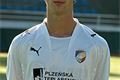 david_stipek