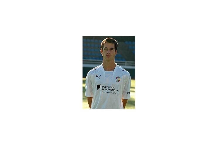 david_stipek