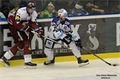 Foto Pavel Němeček (2)