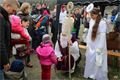 Foto Petr Šístek (12)