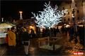 FOTO_QAP_CZ (14)