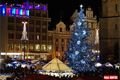 FOTO_QAP_CZ (51)