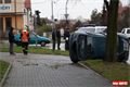 FOTO_QAP_CZ (9)
