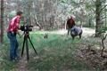 Filmování (6)
