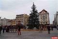 FOTO_QAP_CZ (1)