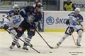 Foto Pavel Němeček (16)