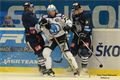 Foto Pavel Němeček (19)