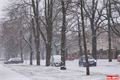 FOTO_QAP_CZ (21)