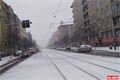 FOTO_QAP_CZ (29)