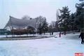 FOTO_QAP_CZ (10)