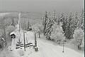 Foto_www.sumavanet.cz_Pancíř