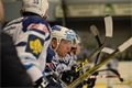 Hokej Plzeň Mladá Boleslav foto Němeček (3)