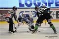 Hokej Plzeň Mladá Boleslav foto Němeček (4)