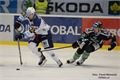 Hokej Plzeň Mladá Boleslav foto Němeček (16)