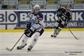 Hokej Plzeň Mladá Boleslav foto Němeček (19)