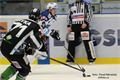 Hokej Plzeň Mladá Boleslav foto Němeček (20)