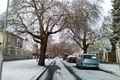 Zima v Plzni_sobota 16_ledna fotoQAP (9)