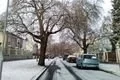 Zima v Plzni_sobota 16_ledna fotoQAP (9)