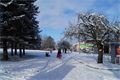 FOTO_QAP_CZ (1)
