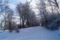 FOTO_QAP_CZ (6)